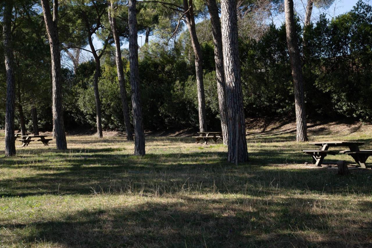 Lato Soleggiato @Gardazzurro Διαμέρισμα Padenghe sul Garda Εξωτερικό φωτογραφία